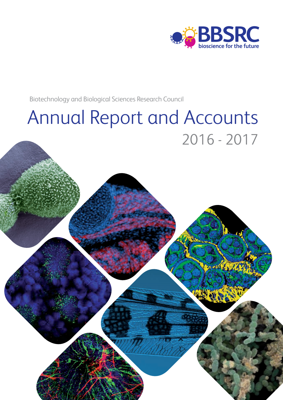 Biotechnology and Biological Sciences Research Council (BBSRC) Annual Report and Accounts 2016-2017 
