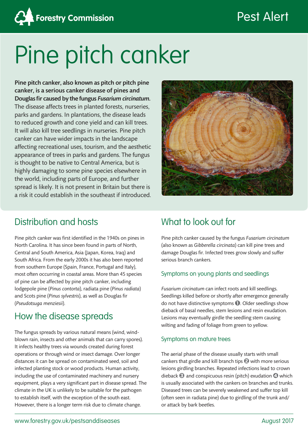 Forestry Commission Pest Alert: Pine pitch canker