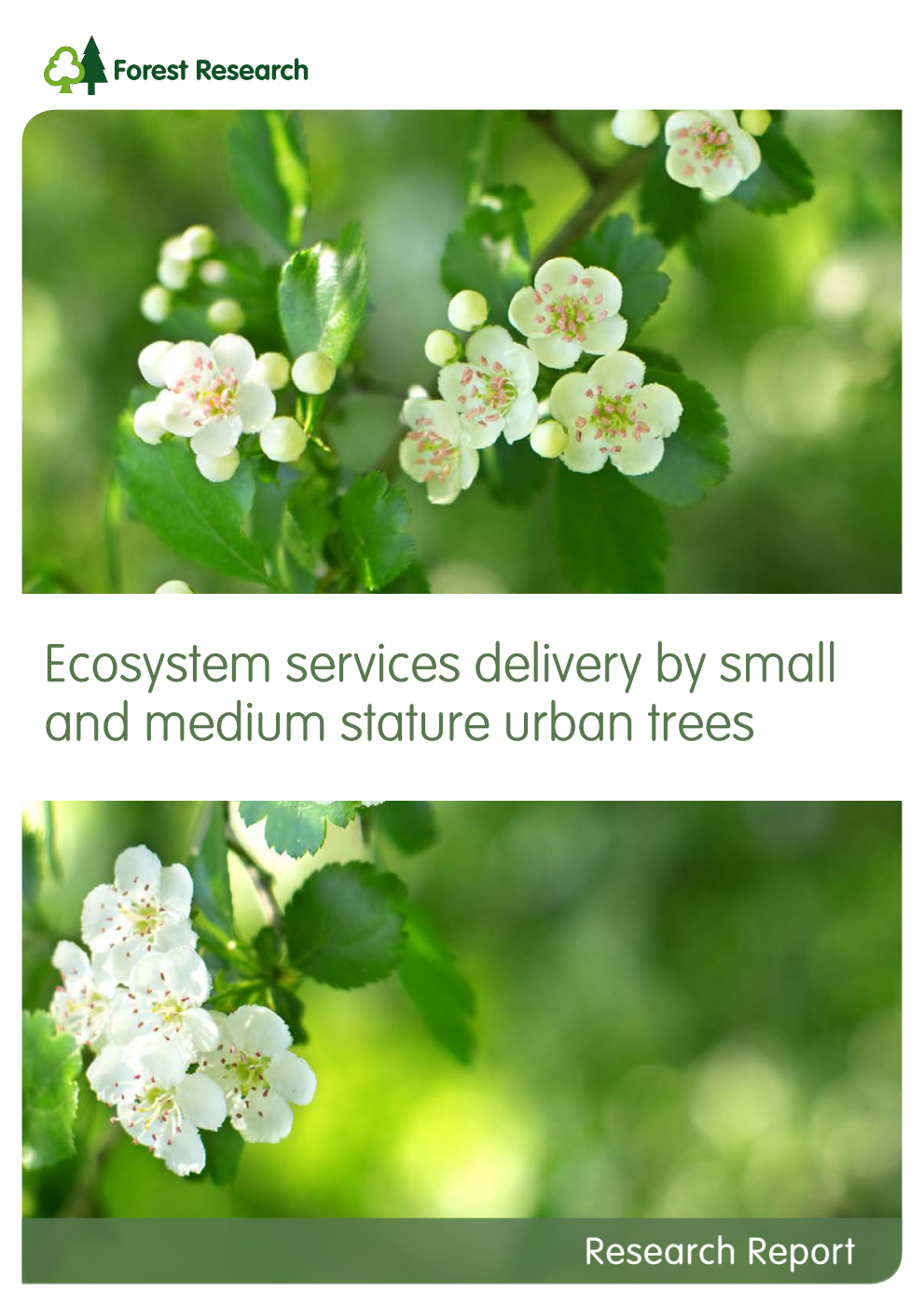 Forestry Commission Research Report: Ecosystem services delivery by small and medium stature urban trees