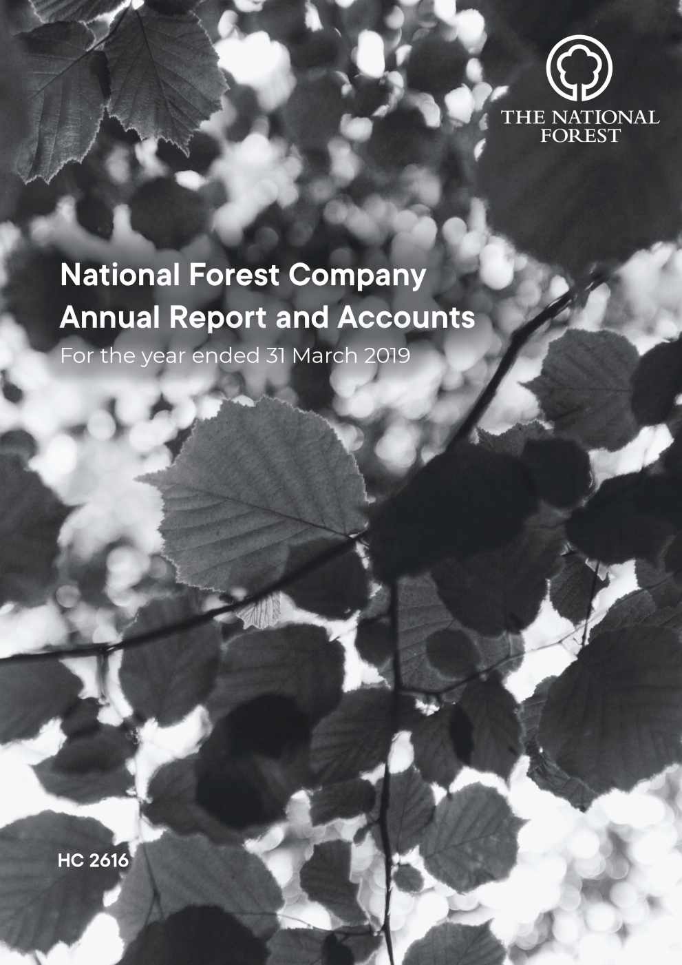 National Forest Company Annual Report and Accounts for the year ended 31 March 2019