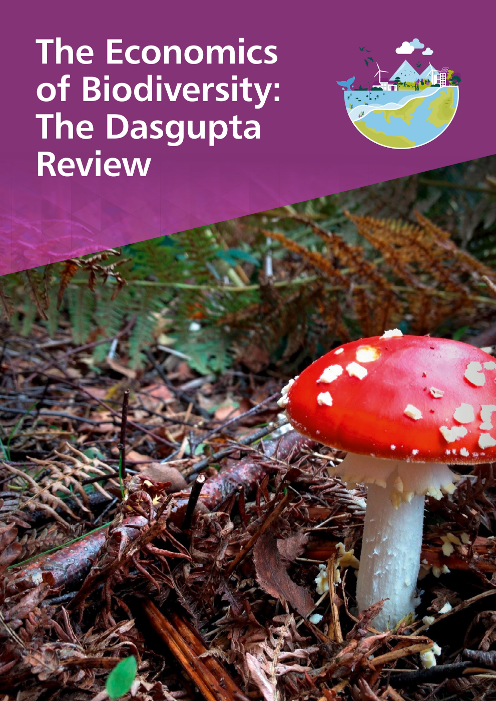 The Economics of Biodiversity: The Dasgupta Review. Corrected PDF