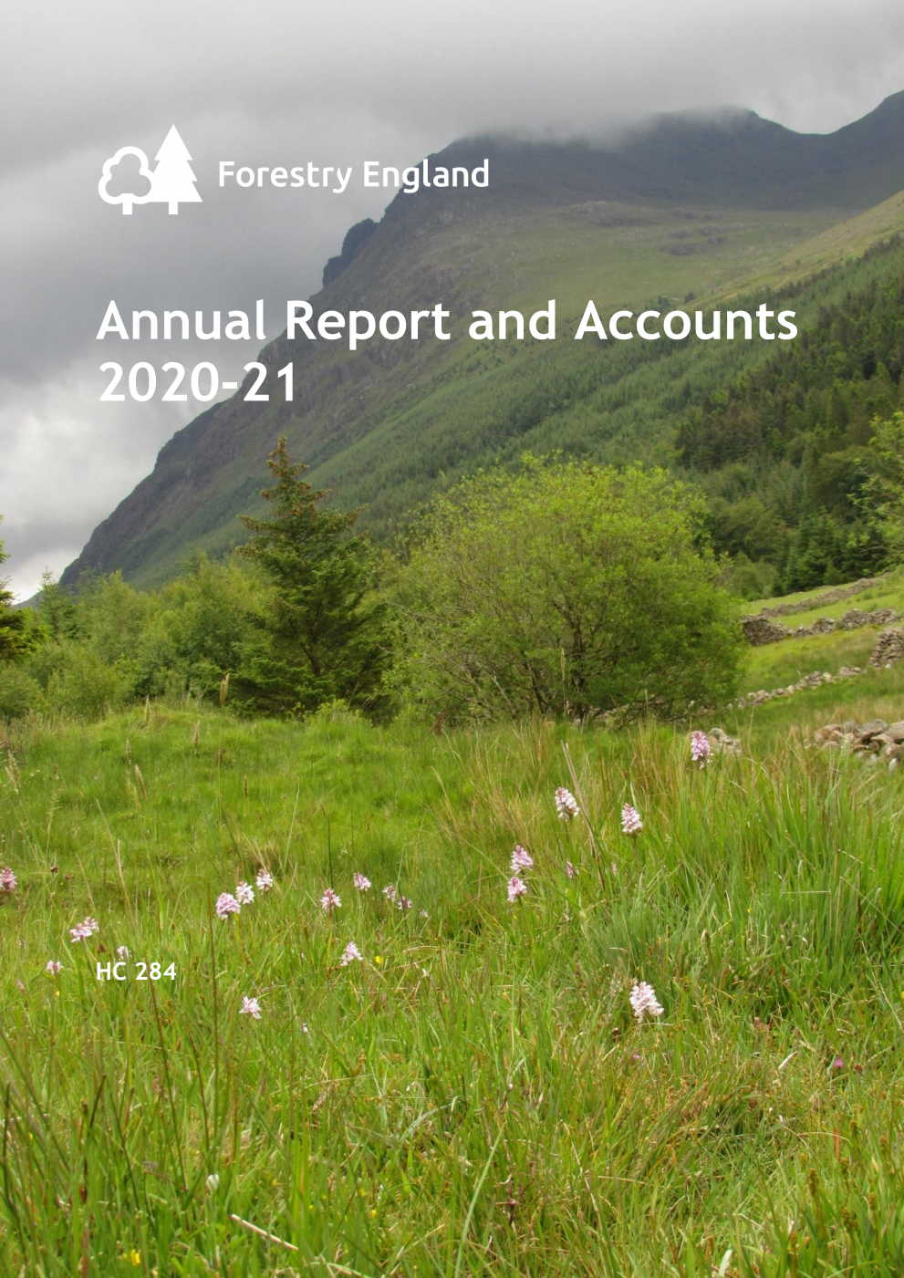 Forestry England Annual Report and Accounts 2020-21