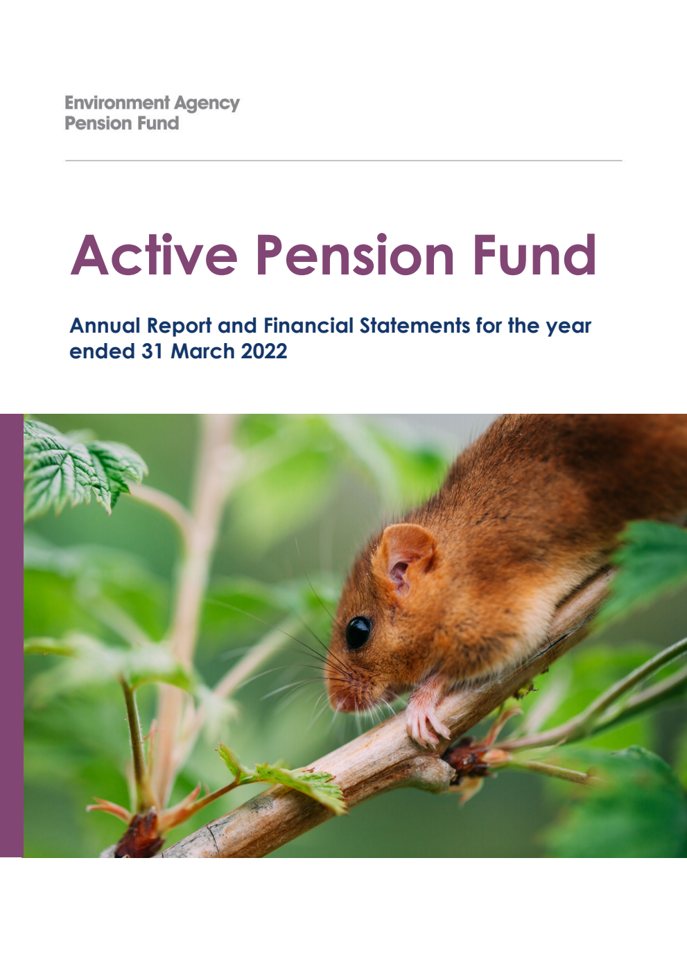 Environment Agency Active Pension Fund Annual Report and Financial Statements for the year ended 31 March 2022
