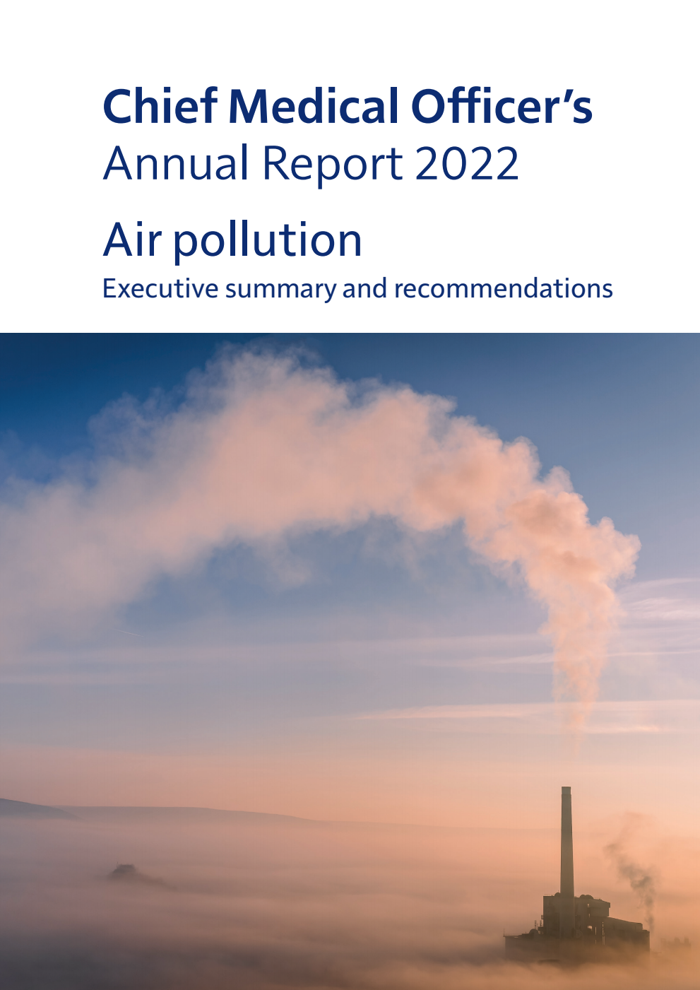 Chief Medical Officer’s Annual Report 2022. Air pollution. Executive summary and recommendations