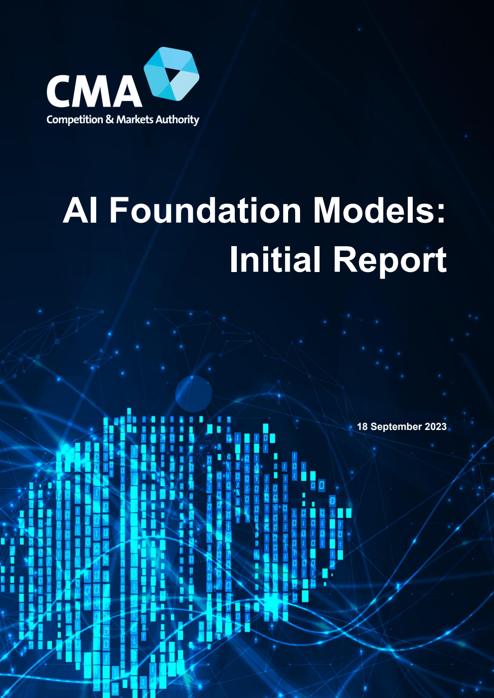 AI Foundation Models: Initial Report
