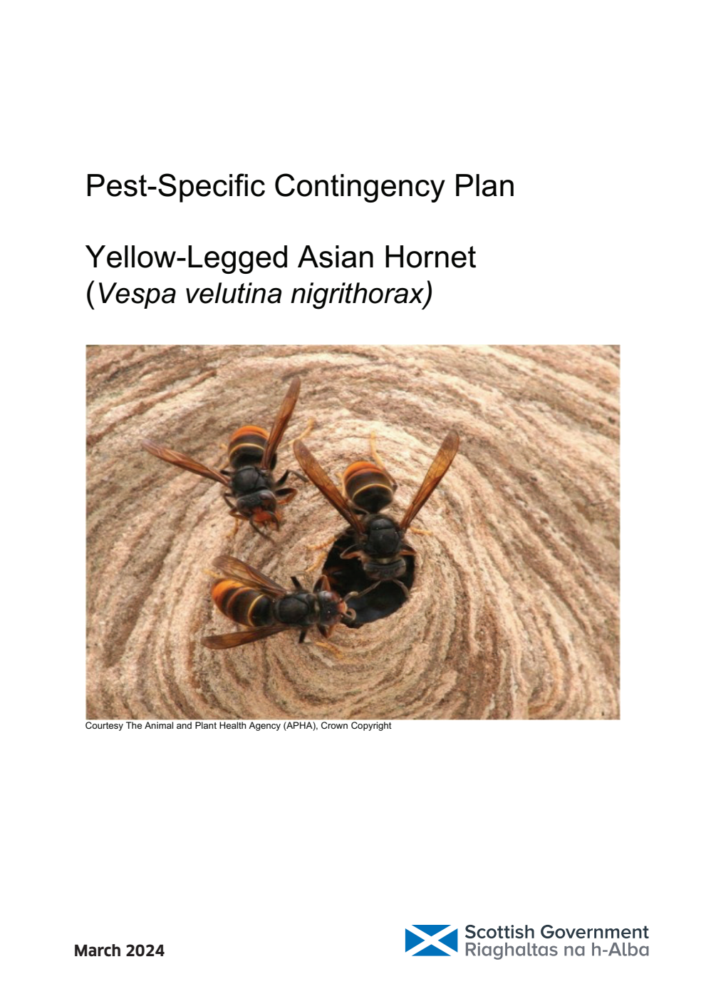 Pest-Specific Contingency Plan Yellow-Legged Asian Hornet (Vespa velutina nigrithorax) March 2024