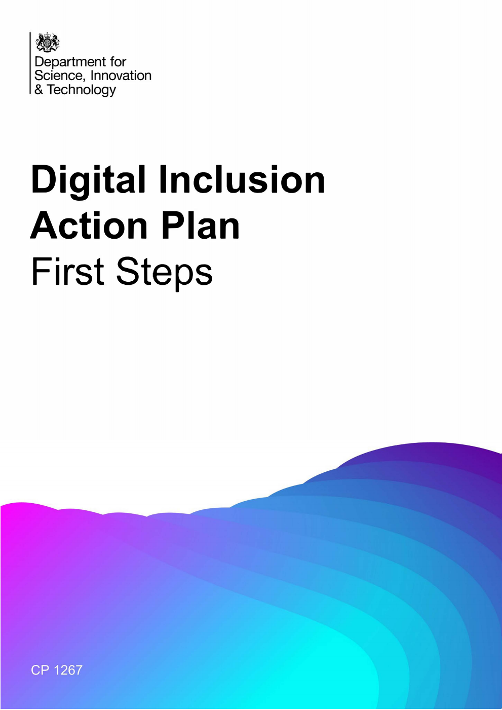 Digital Inclusion Action Plan - First Steps