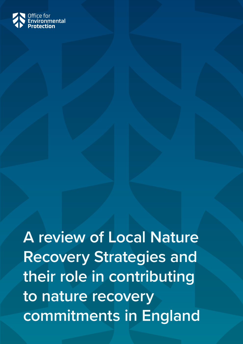 A review of Local Nature Recovery Strategies and their role in contributing to nature recovery commitments in England