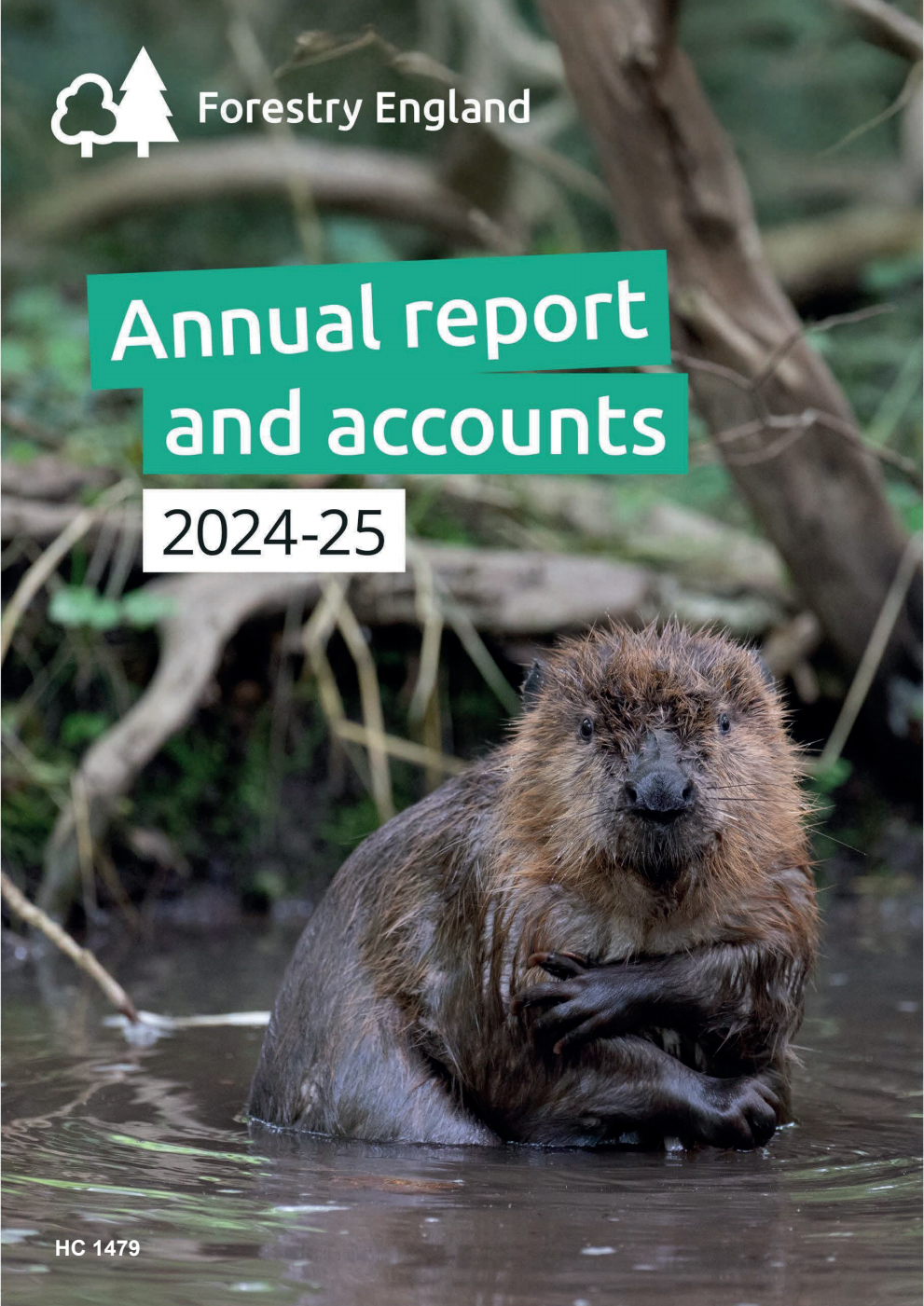 Forestry England Annual Report and Accounts 2024-25